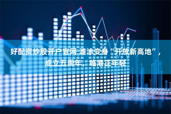 好配资炒股开户官网 滩涂变身“开放新高地”，成立五周年，临港正年轻